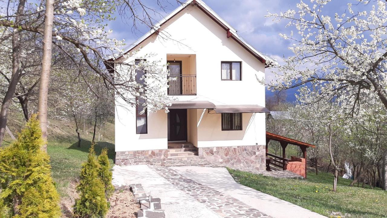 Casa Fluțar Villa Moisei Exterior foto