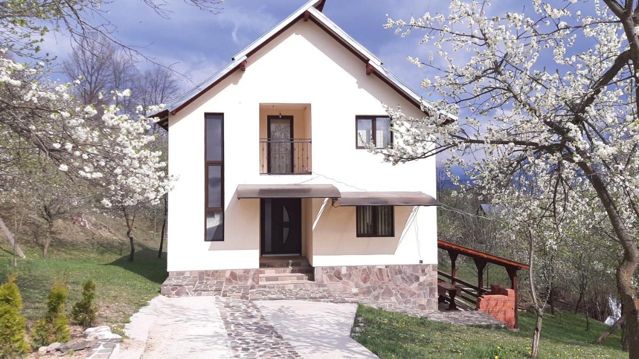 Casa Fluțar Villa Moisei Exterior foto