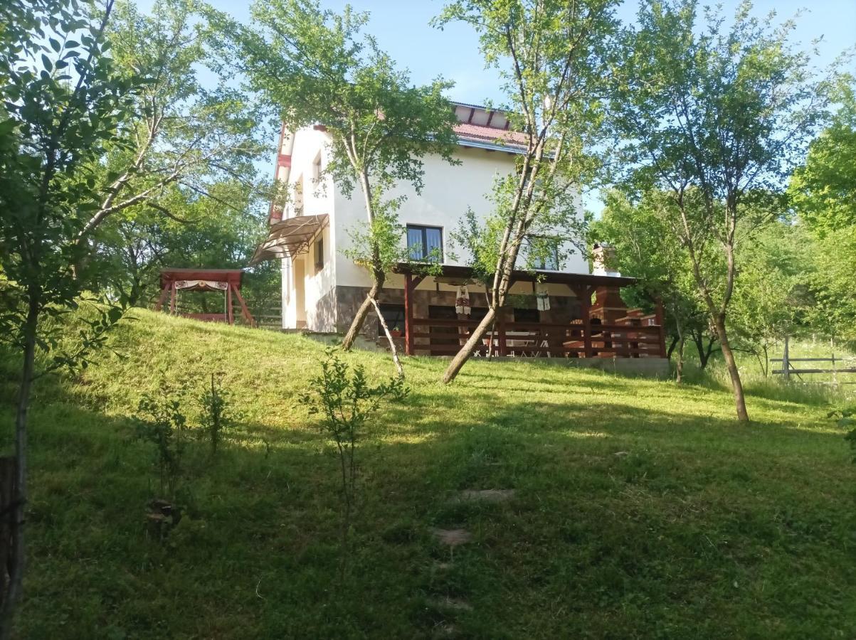 Casa Fluțar Villa Moisei Exterior foto