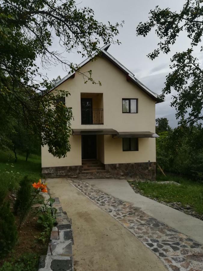 Casa Fluțar Villa Moisei Exterior foto
