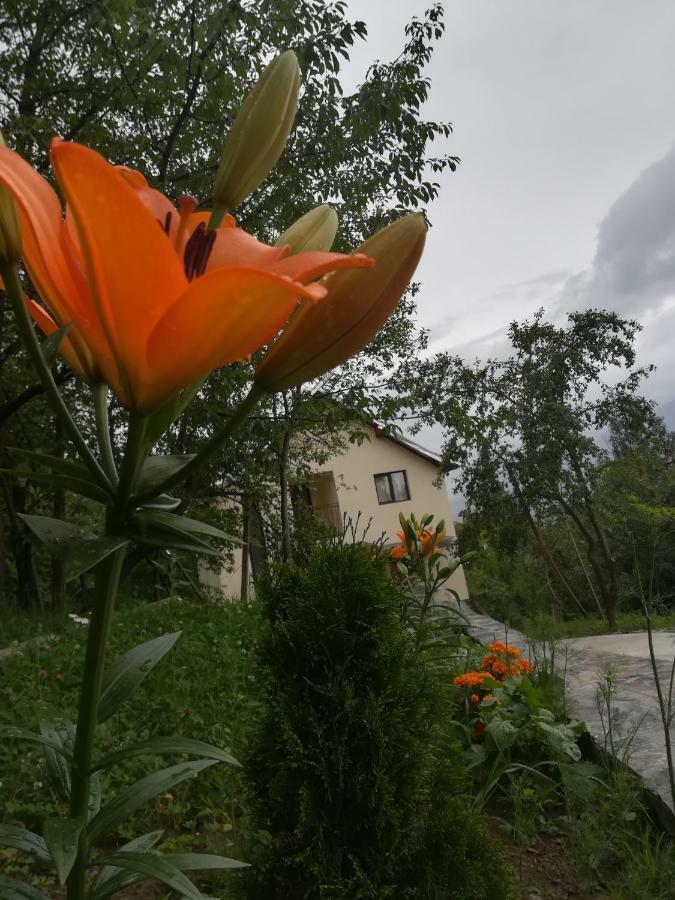 Casa Fluțar Villa Moisei Exterior foto