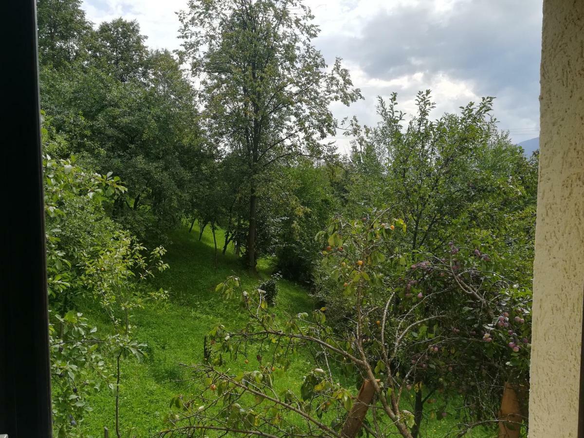 Casa Fluțar Villa Moisei Exterior foto